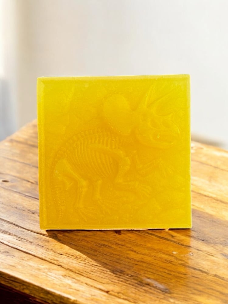 Image of Fossil Bar Soaps (OPTIONS)