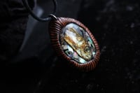 Image 3 of dead good fish head and paua shell necklace