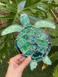 Image 1 of Turtle