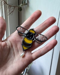 Image 4 of lil honey bee