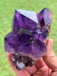 Image 7 of Amethyst Points Cluster | Congo #2869