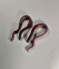 Image 3 of Hangers 🪱