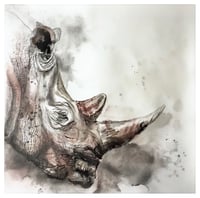 Image 1 of Rhino