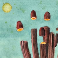 Image 5 of “Sombra”