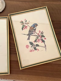 Image 5 of Paire d’illustrations d’oiseaux