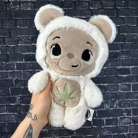 Image 1 of HUGGIE- Biscotti