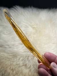 Image 11 of Copal Amber With Preserved Insects #2357