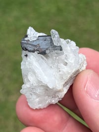 Image 11 of Hübnerite & Fine Quartz Points Specimen | Peru #3060