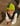 Tiny Dino Hat