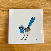Image 2 of Fairywren Coaster