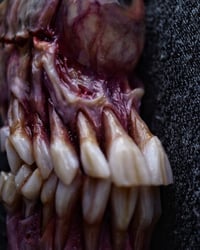 Image 11 of The Monstrous - collectible Clipper Lighter Sleeve