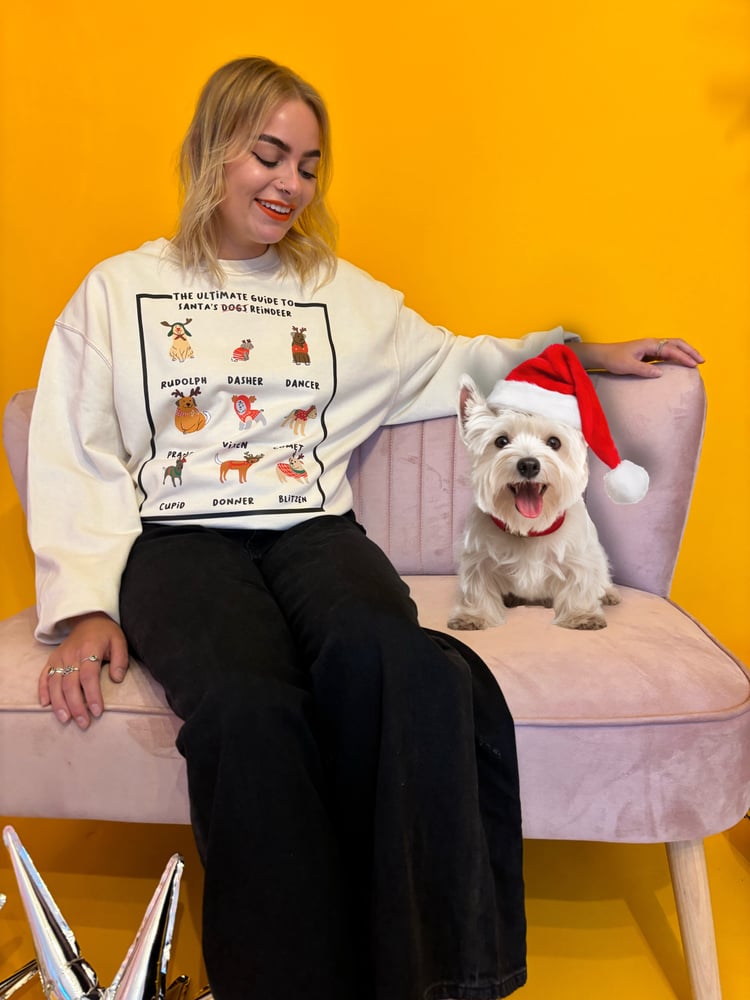 Image of Santas reindeer dogs tee/jumpers 