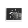 Raven Moonphases | Print
