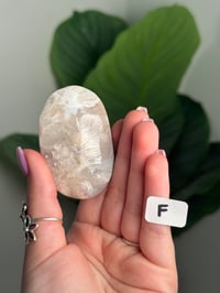 Image 16 of CHOOSE YOUR OWN HQ FLOWER AGATE PALM STONE -MADAGASCAR-