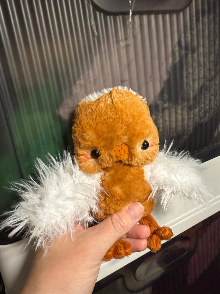 Image of red floofy chicken