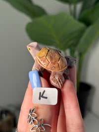 Image 11 of CHOOSE YOUR OWN MINI SOAPSTONE TURTLES