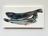 Image 1 of Supermarket Fish (2)