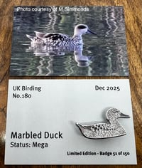 Image 1 of Marbled Duck - No.180 - UK Birding Pins
