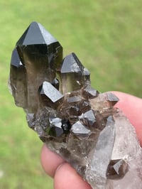 Image 10 of Smoky Quartz Points #1383