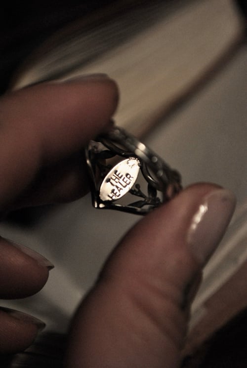 Image of The Healer - il guaritore