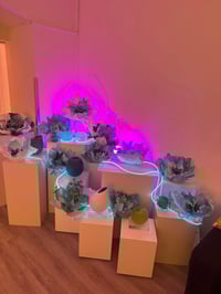 Image 24 of ACID BLOOM workshop