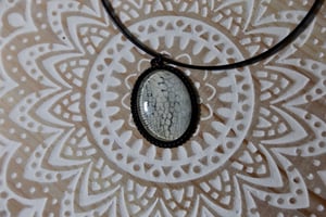 Image of ‘Dessert Snow’ Collection - Veiled Chameleon