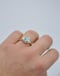 Image of Mixed Metal Sonoran Gold Ring
