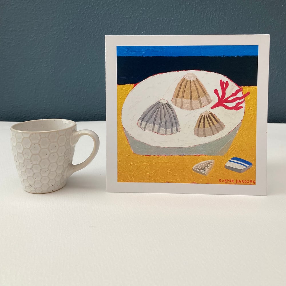 Image of Shells and Ceramic Fragments card