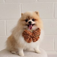 Image 3 of CROCHET BOW - COZY EDIT