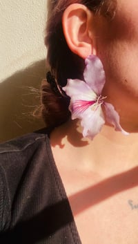 Image 1 of 💜Bauhinia Studs💜Purple