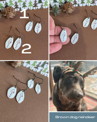 Image 4 of Winter Flower Bulbs 