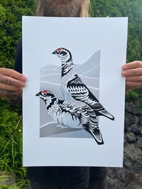 Image 3 of Grouse