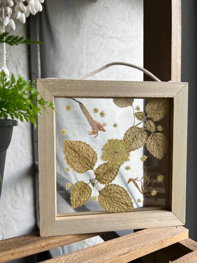 Image of pressed bb flowerz 