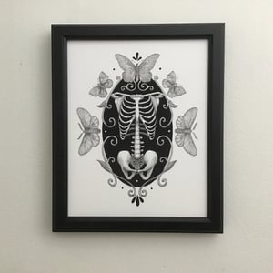 Skeleton With Moths And Butterflies print