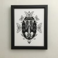 Image 2 of Skeleton With Moths And Butterflies print