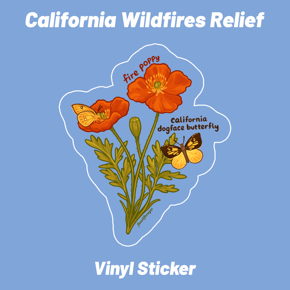 Fire Poppy & California Dogface Sticker *FUNDRAISER*