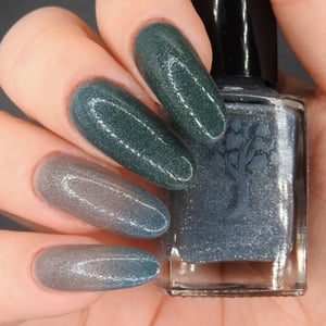 Image of Shadow of the Day