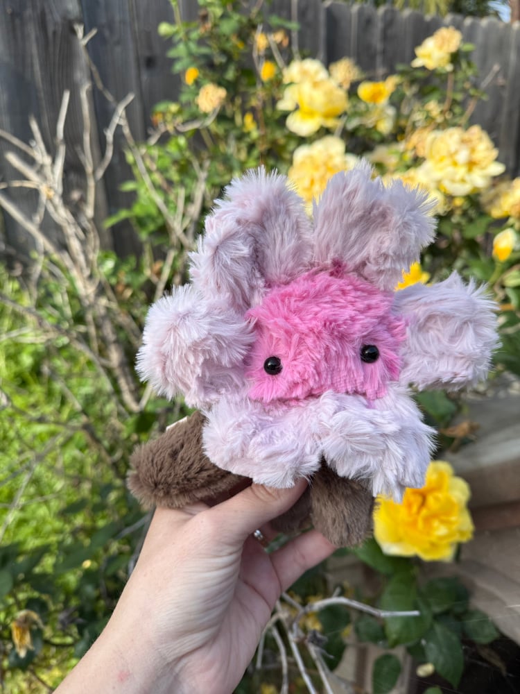 Image of cherry blossom 3