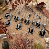 Image 5 of Shark Tooth Necklace