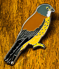 Image 2 of Lesser Kestrel - No.120 - UK Birding Pins - Enamel Pin Badge