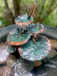 Image 3 of 🍃🍃5 Leaves🍃🍃🍃