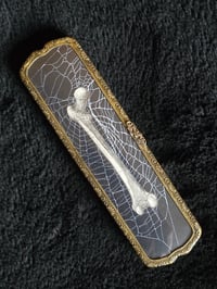 Image 1 of Repurposed Vanity series antique Anatomical with preserved web B