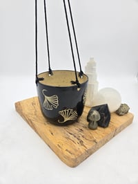 Image 3 of Black Ginko Hanging Planter