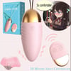 Couples Remote Vibrator ( Egg style).
