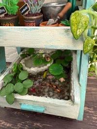 Image 2 of Miniature Garden Shelf