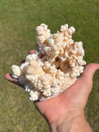 Image 15 of Calcite Crystal Cluster Reef Formation Specimen #1235