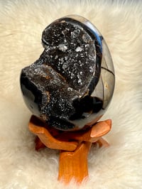 Image 4 of Septarian Egg With Calcite #2420