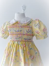 Image 2 of Flora Moonglow - 2/3 years 