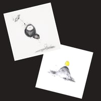 Image 1 of Coming Home & Spring Watch Twin Pack