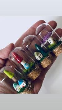 Image 5 of Fairy Domes